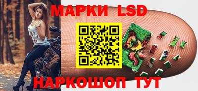 стаф Берёзовский