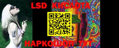 стаф Берёзовский