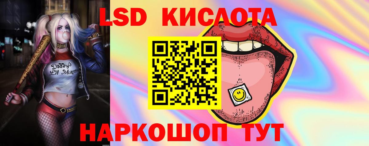 ГАШ Каменка