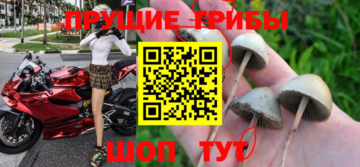 Галлюциногенные грибы ЛСД Каменка