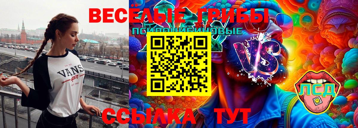 Каменка  Галлюциногенные грибы ЛСД  Вход с VPN 